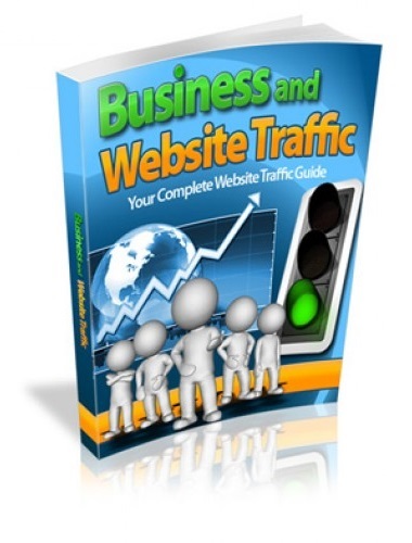 Business-and-Website-Traffic-250